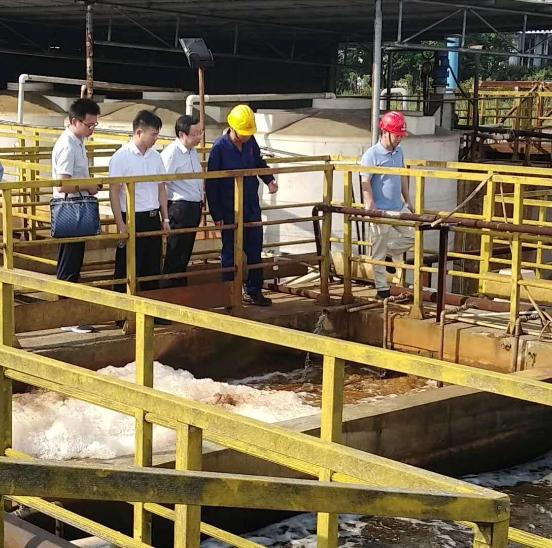 Luo Xiaozhang, executive deputy director of the provincial environmental protection department, and his party visited our Zhangshu project department for inspection